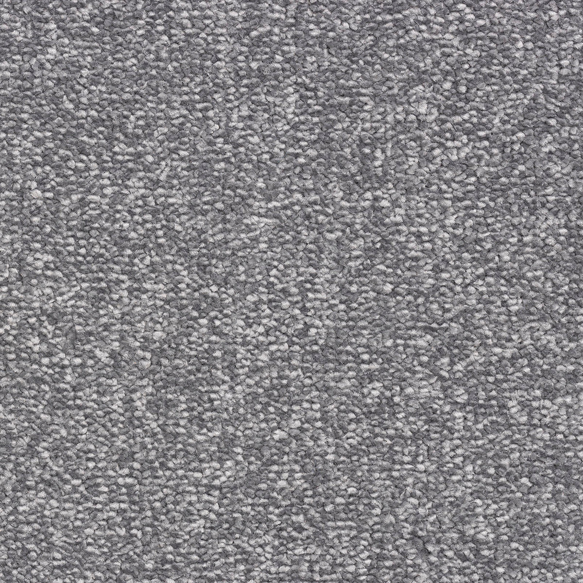 Caprice Platinum 76 Carpet