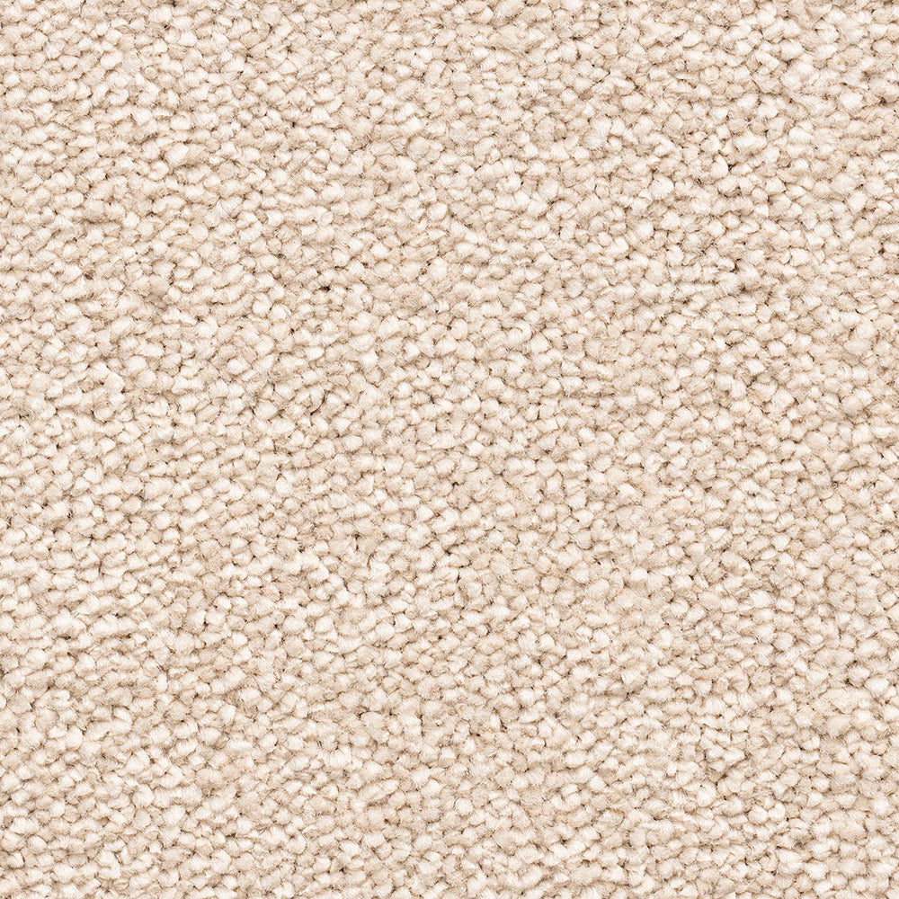 Impressions Duo Cream 72 Carpet