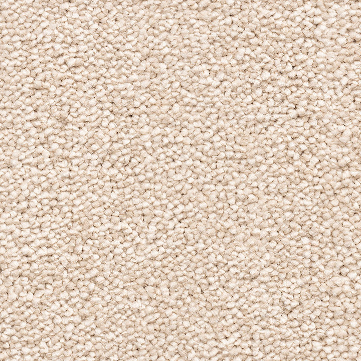 Impressions Duo Cream 72 Carpet