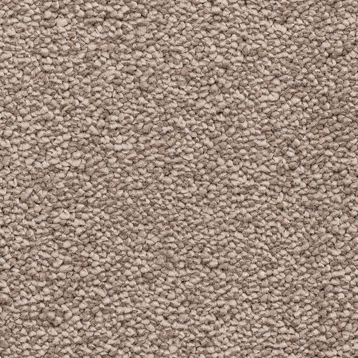Impressions Duo Clay 91 Carpet