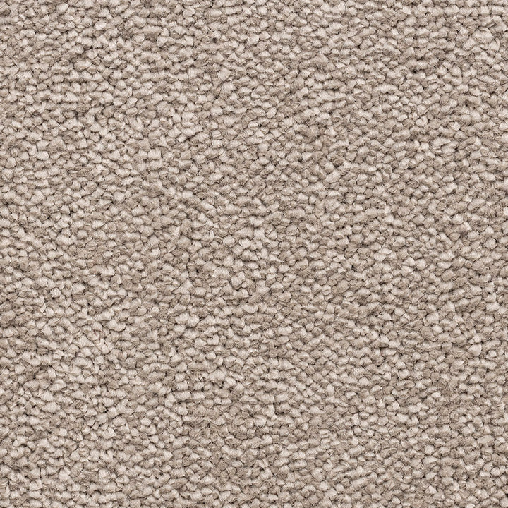 Impressions Duo Taupe 73 Carpet