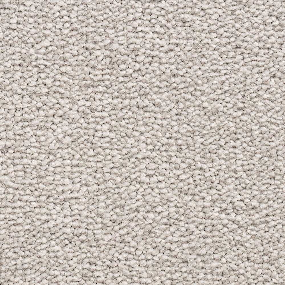 Impressions Duo Dover Grey 173 Carpet