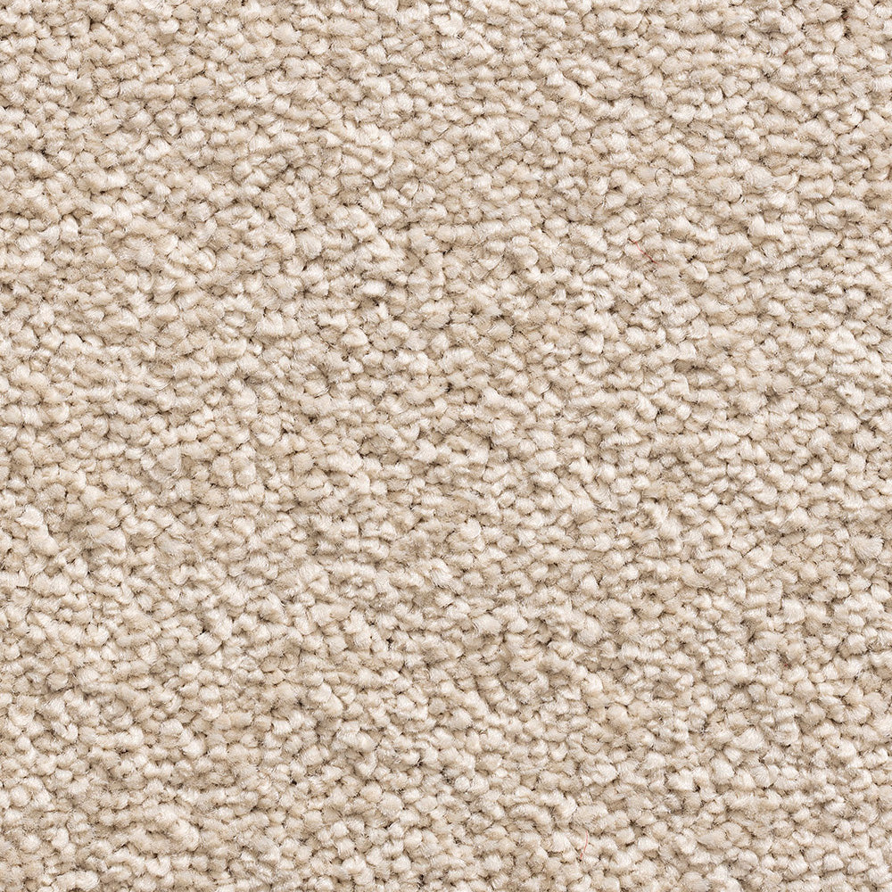 Serene Duo Magnolia 671 Carpet