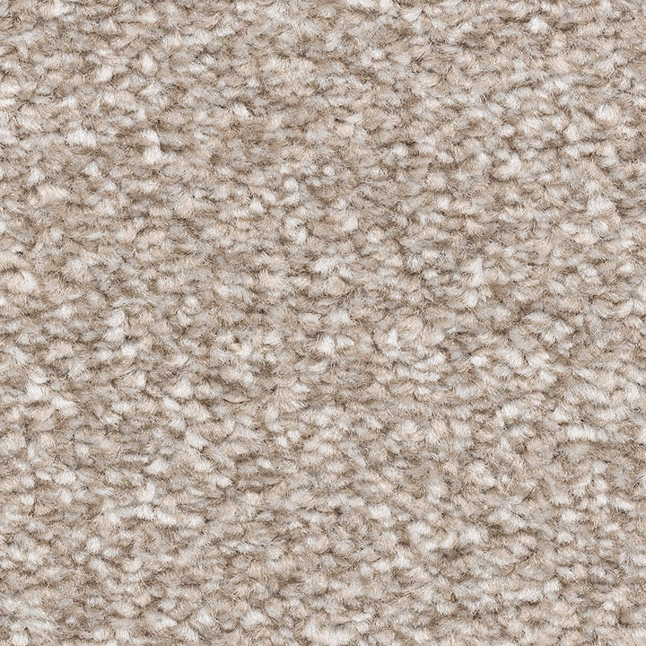 Alabama Fb 70 Carpet