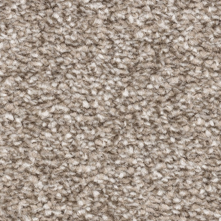 Alabama Fb 73 Carpet