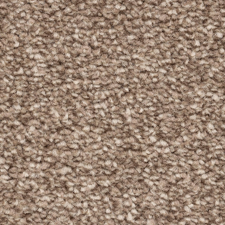 Alabama AB 173 Carpet