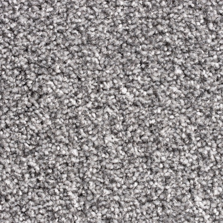 Alabama AB 175 Carpet