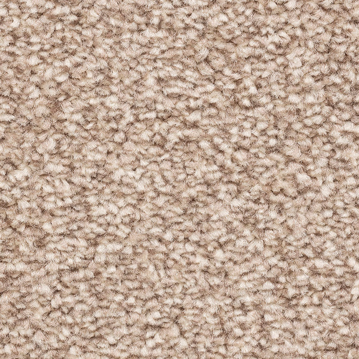 Alabama AB 72 Carpet