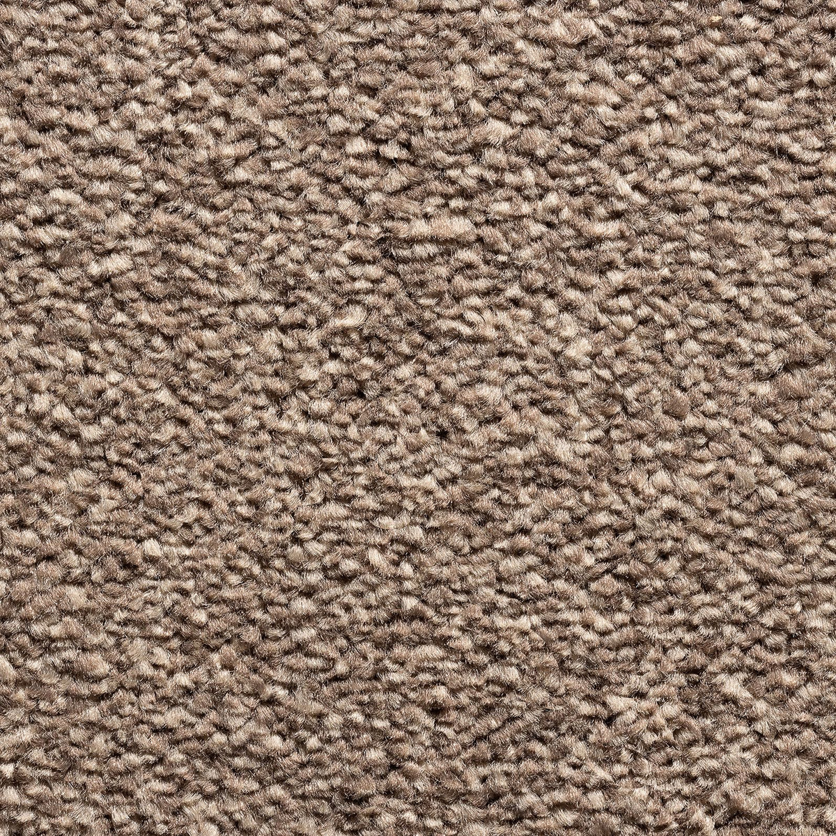 Kent Mocha 92 Carpet