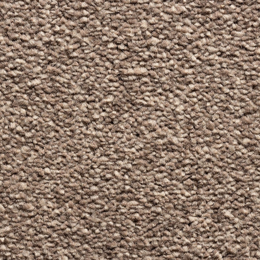 Kent Mocha 92 Carpet
