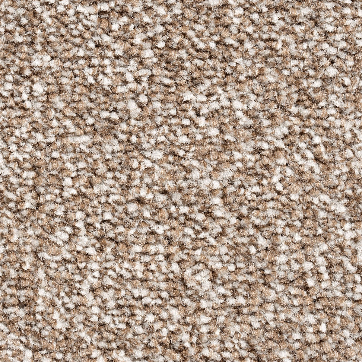 Kent Latte 190 Carpet