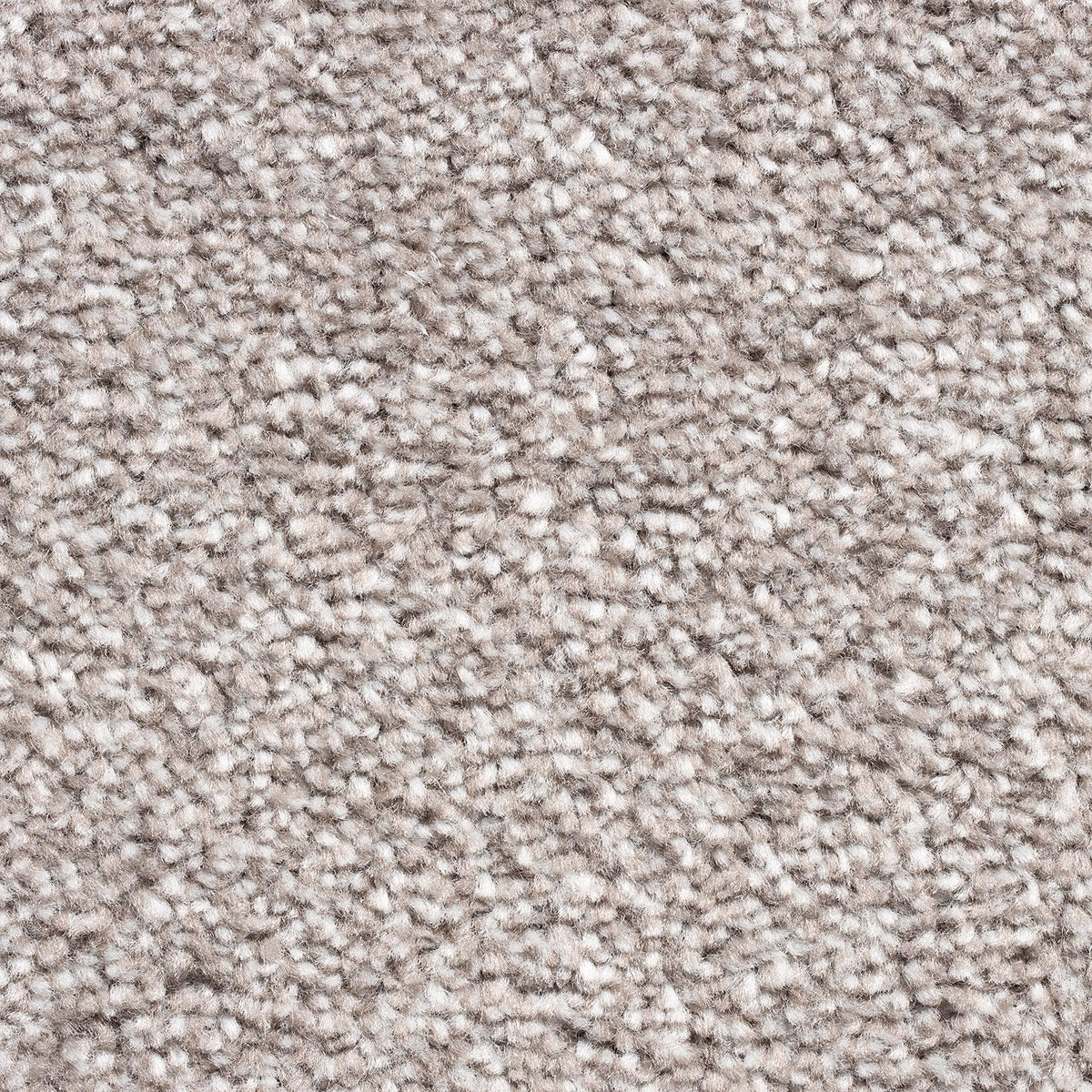 Kent Sable 73 Carpet