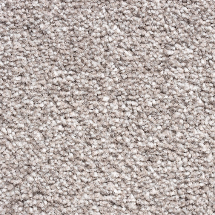 Kent Sable 73 Carpet
