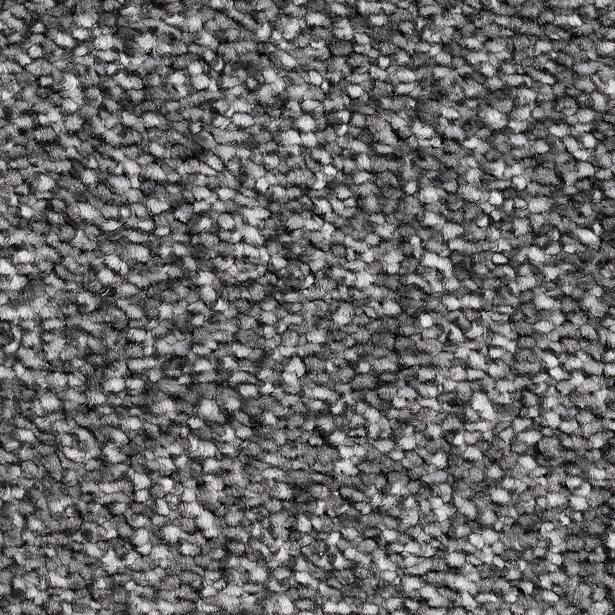 Kent Carbon 76 Carpet