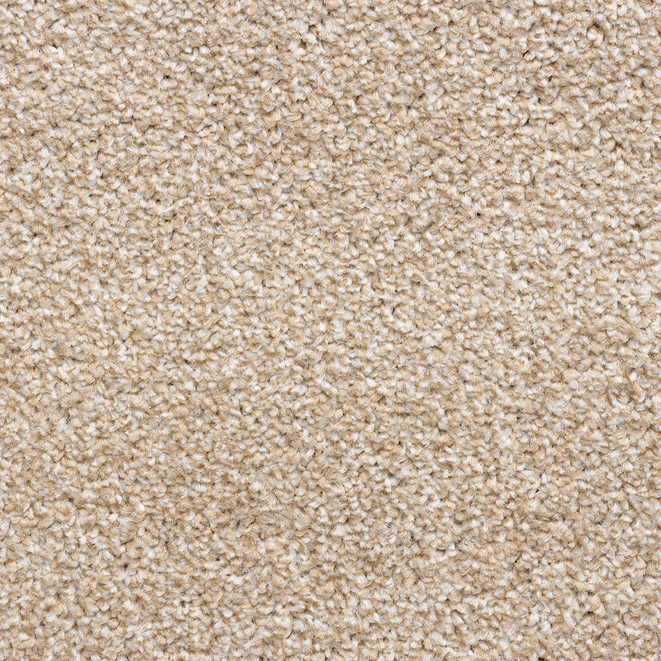 Amsterdam Heathers Fb Natural 372 Carpet