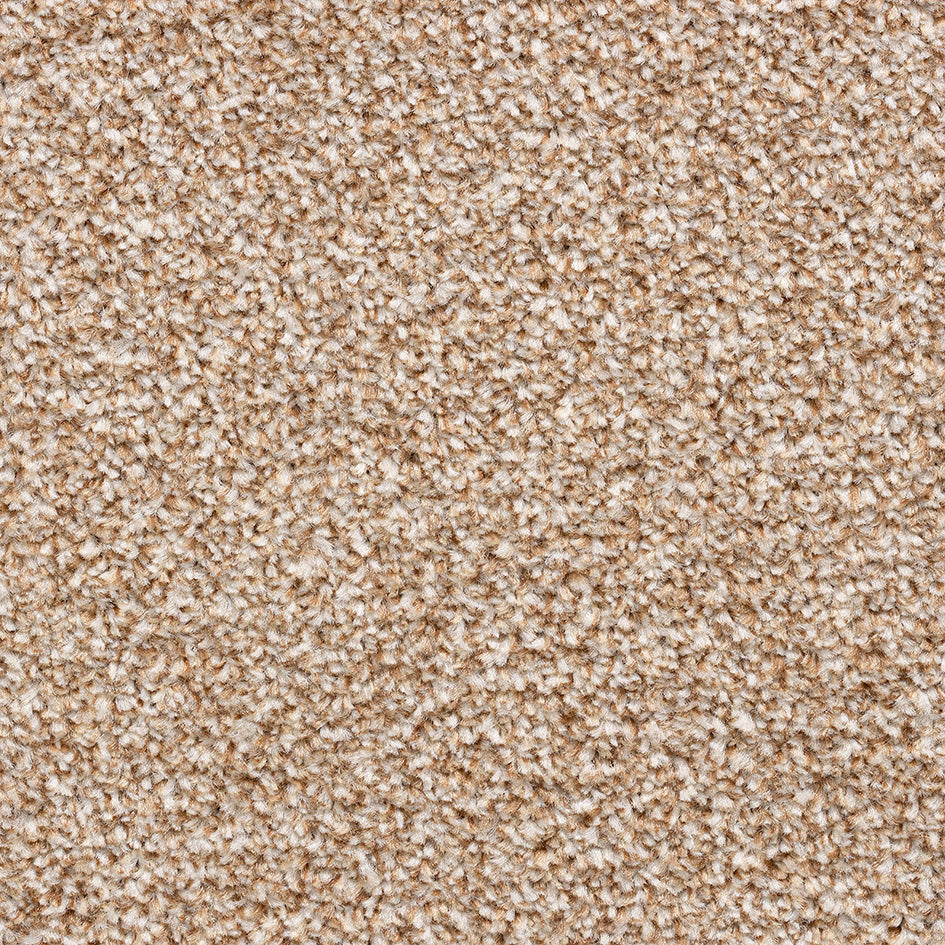 Amsterdam Heathers SB Pebble 371 Carpet