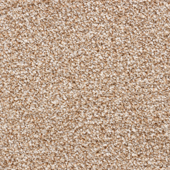 Maple Ridge AB Marble 571 Carpet