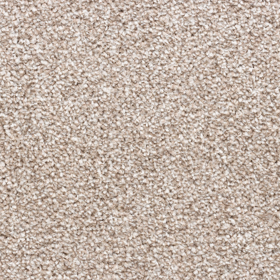 Amsterdam Heathers SB Almond 373 Carpet