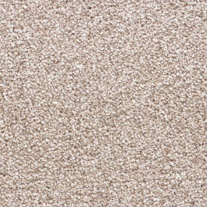 Abbottsford Heathers Action Back Almond 373 Carpet