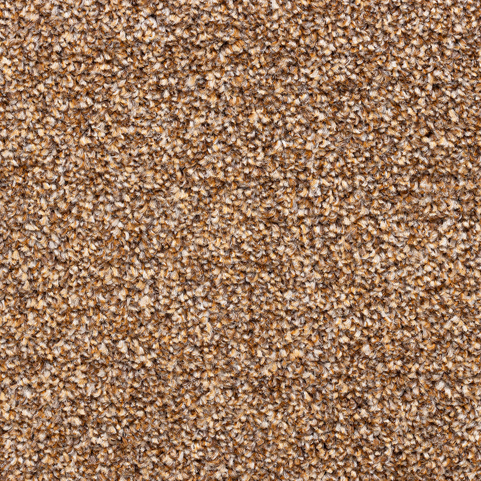 Amsterdam Heathers SB Spice 396 Carpet