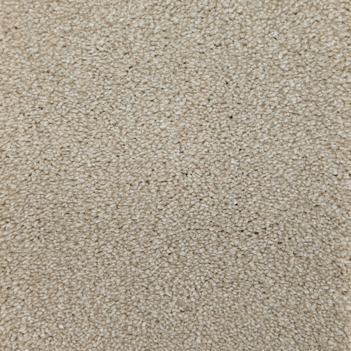 Polo Pearl 70 Carpet