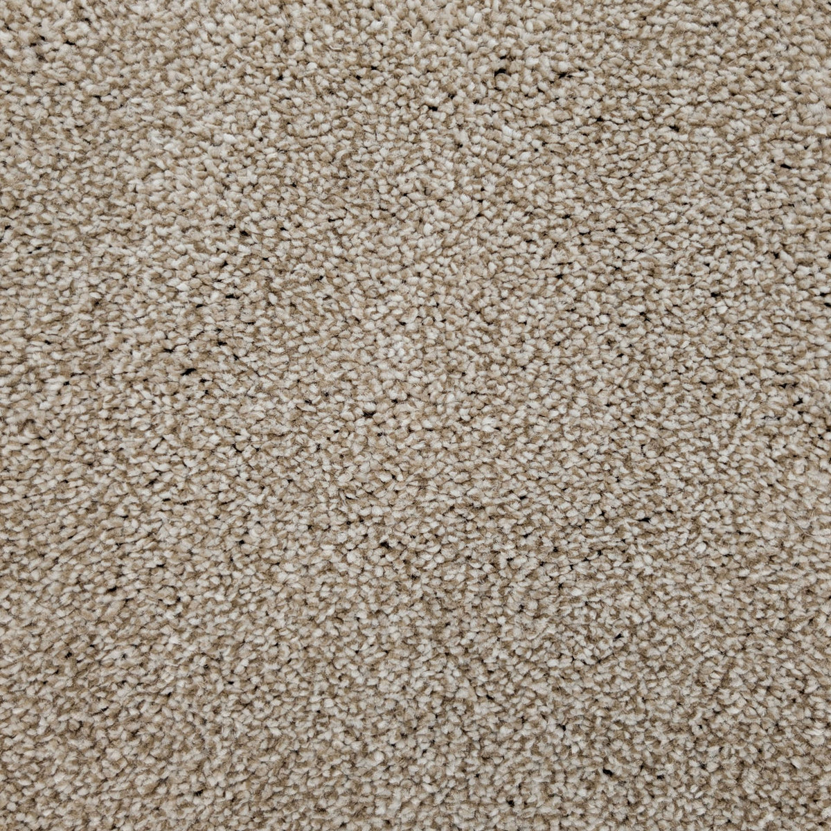 Polo Desert Sand 71 Carpet
