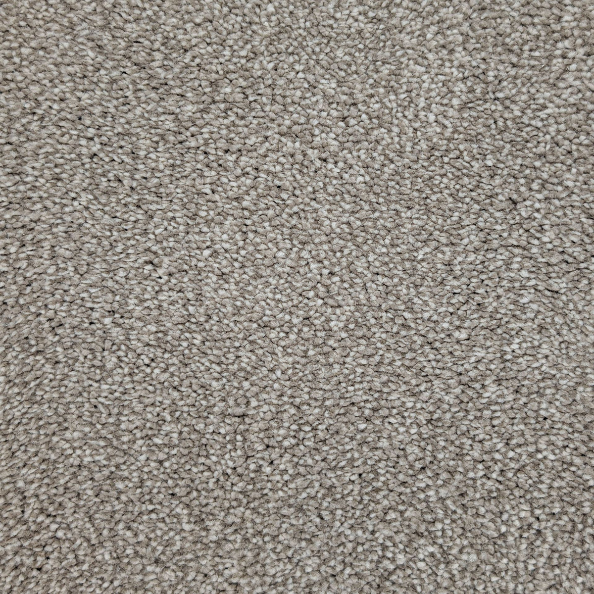 Polo Parchment 173 Carpet