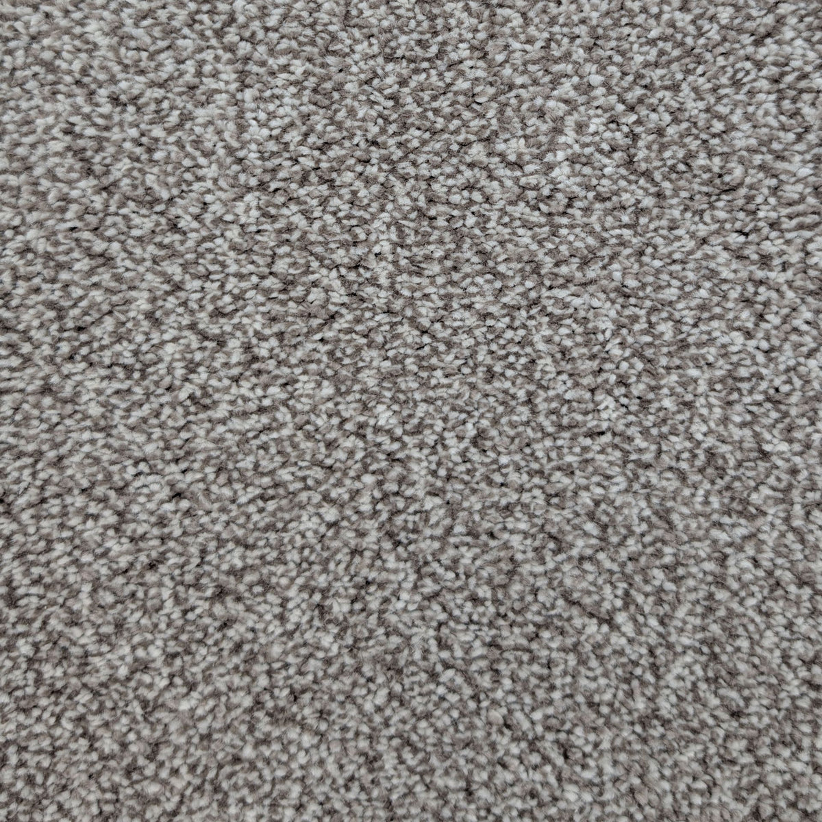 Polo Nutmeg 90 Carpet