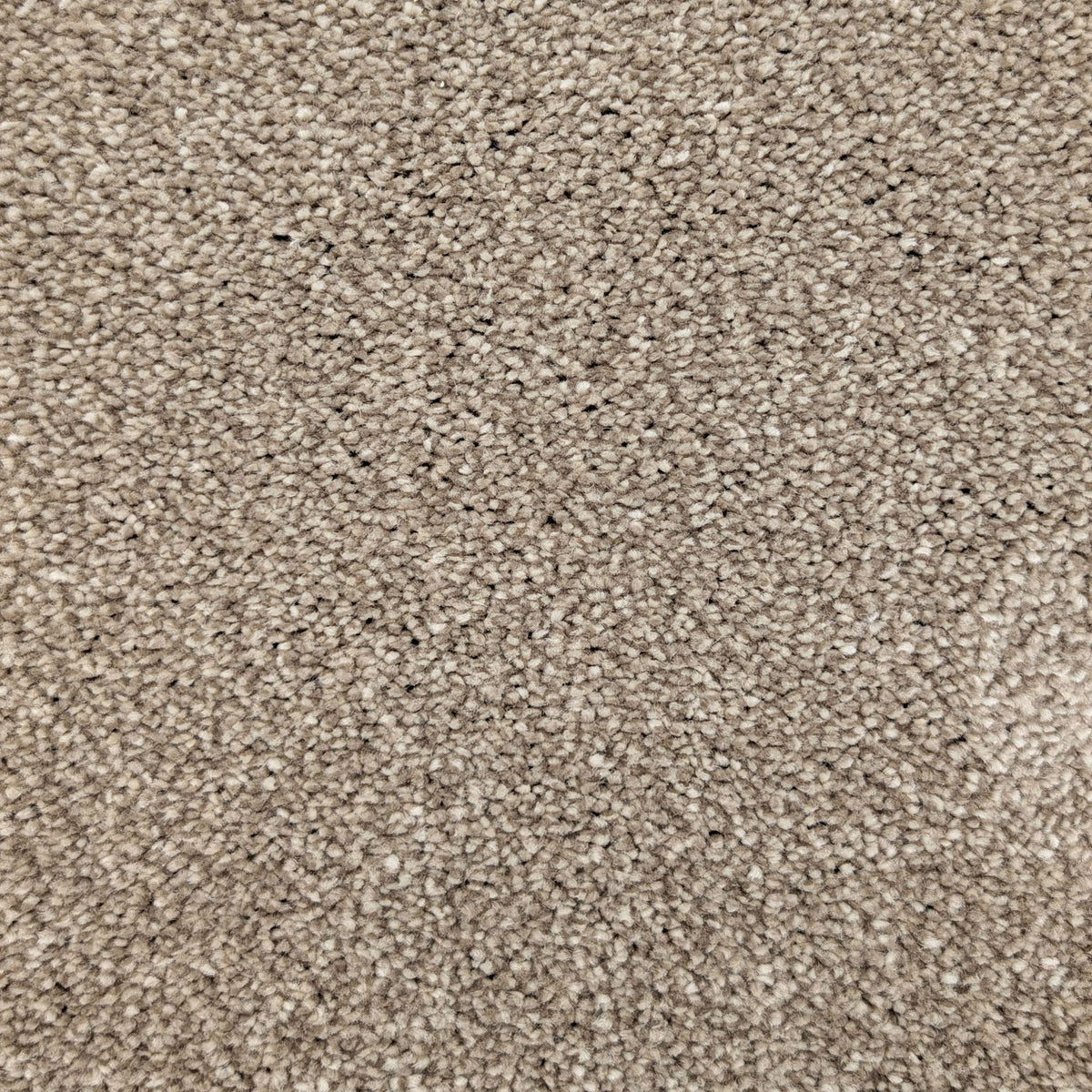 Polo Caramel 72 Carpet