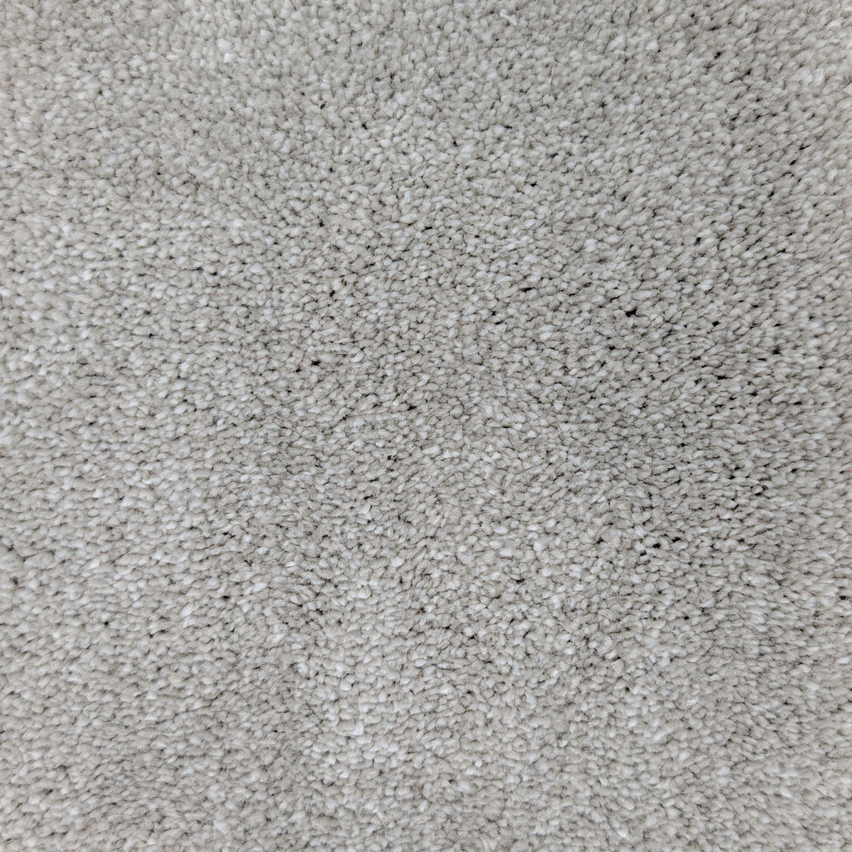 Polo Onyx 73 Carpet