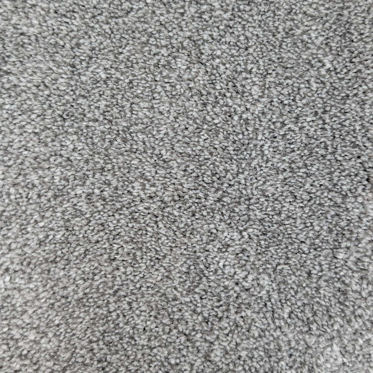 Polo Nimbus 175 Carpet