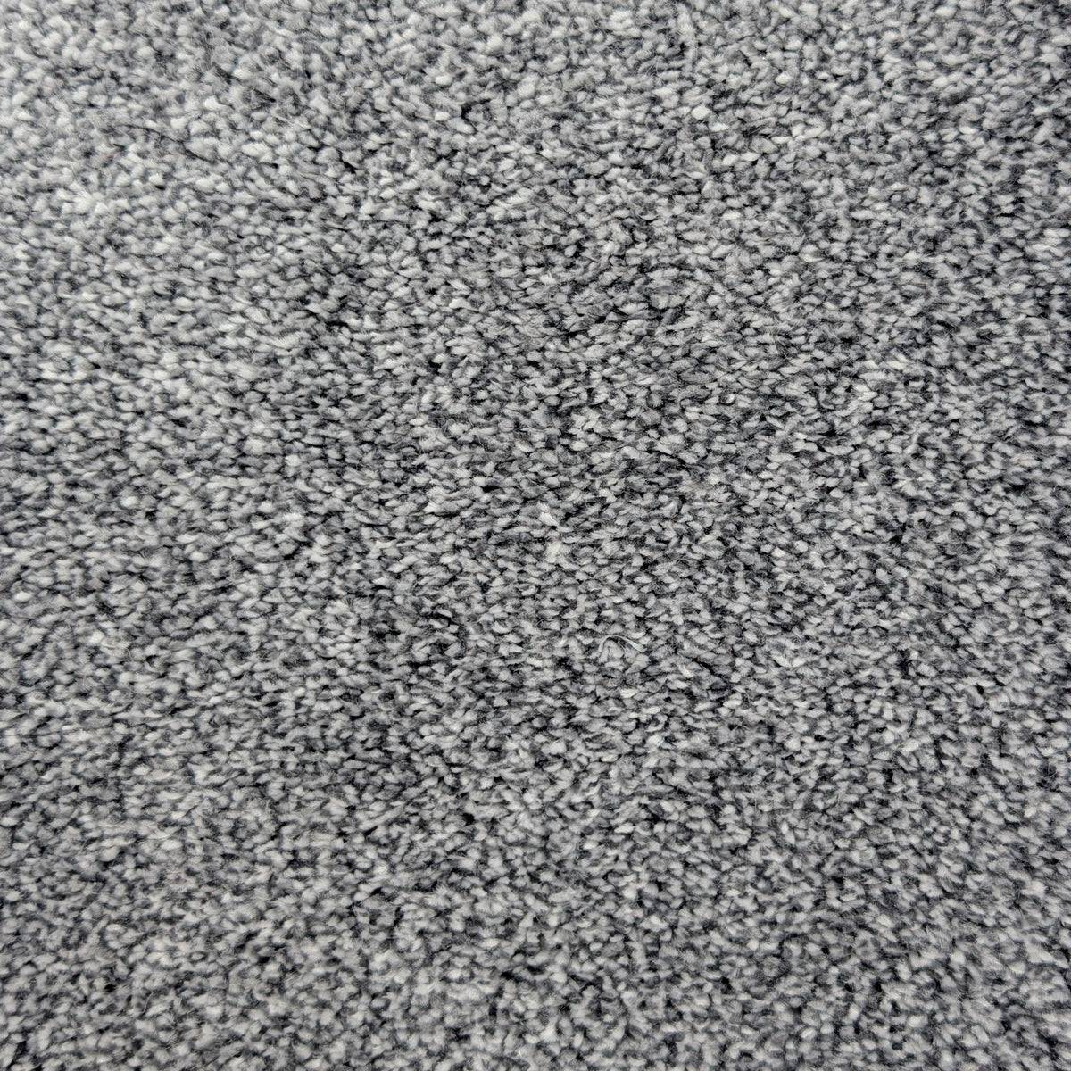 Polo Iron 76 Carpet