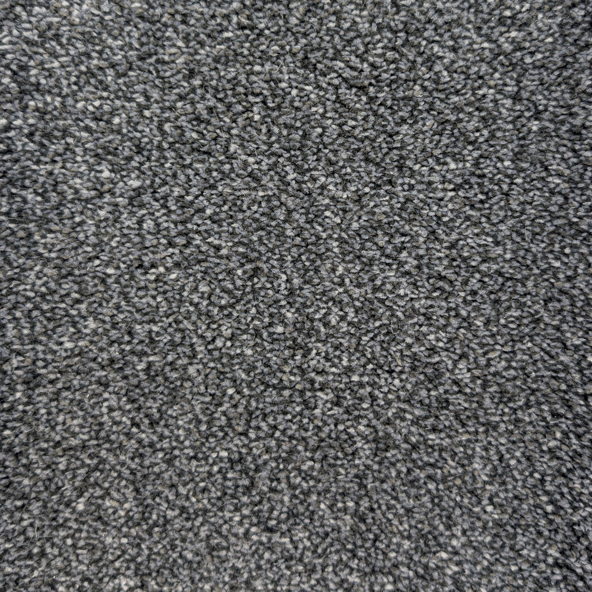 Polo Carbon 77 Carpet