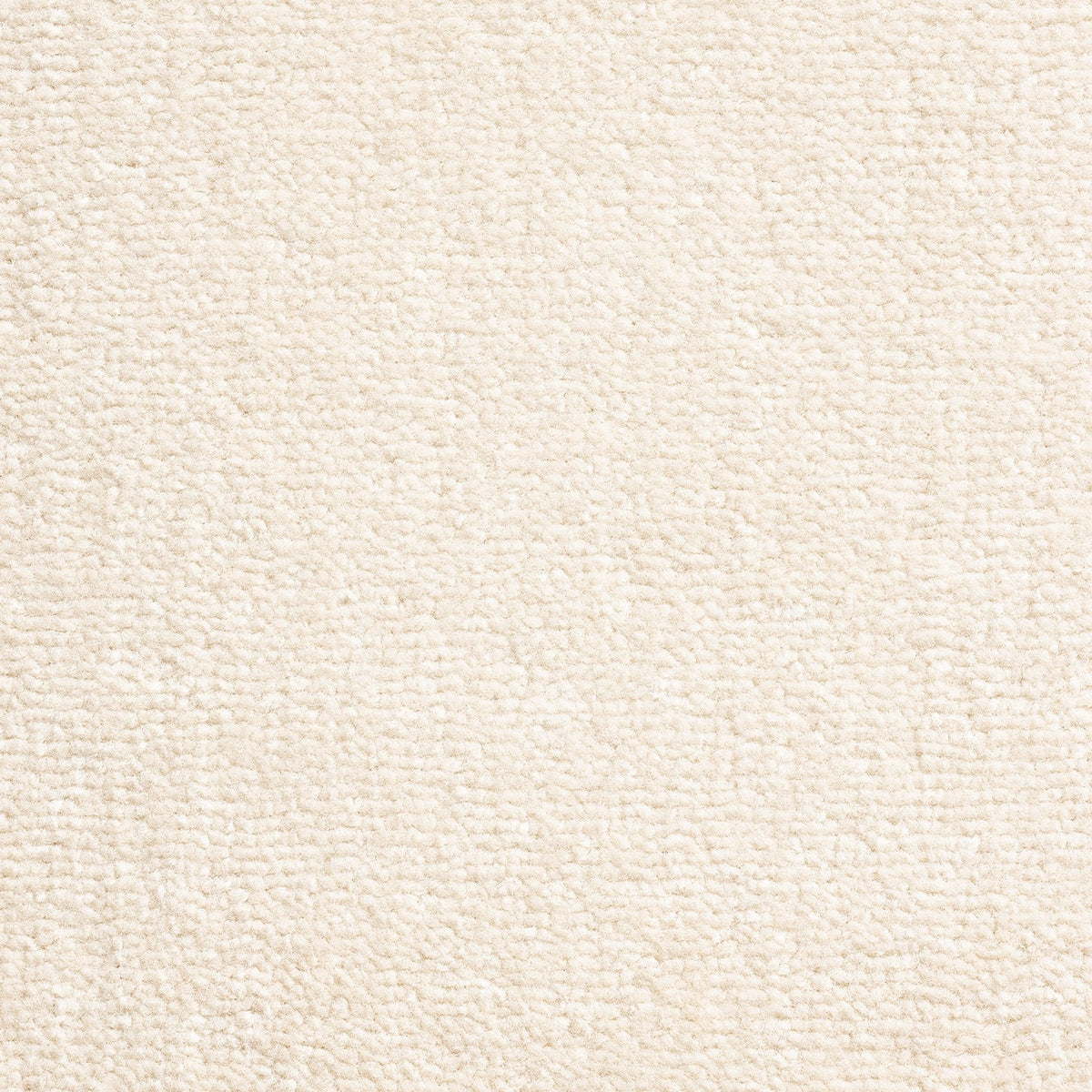 Windsor Velvet Onyx 70 Carpet