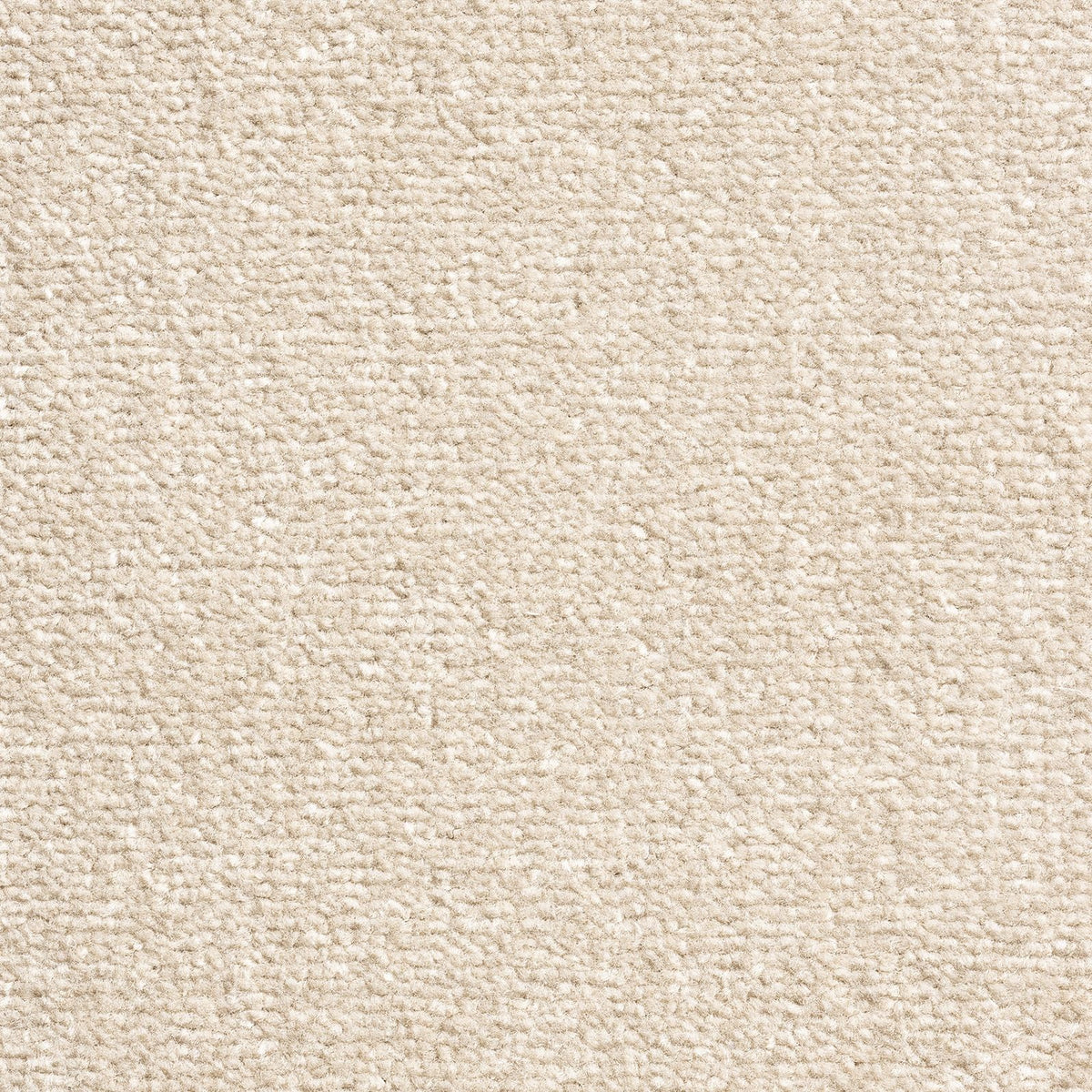 Windsor Velvet Thunder 71 Carpet