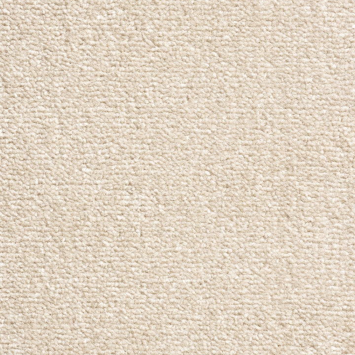 Windsor Velvet Thunder 71 Carpet