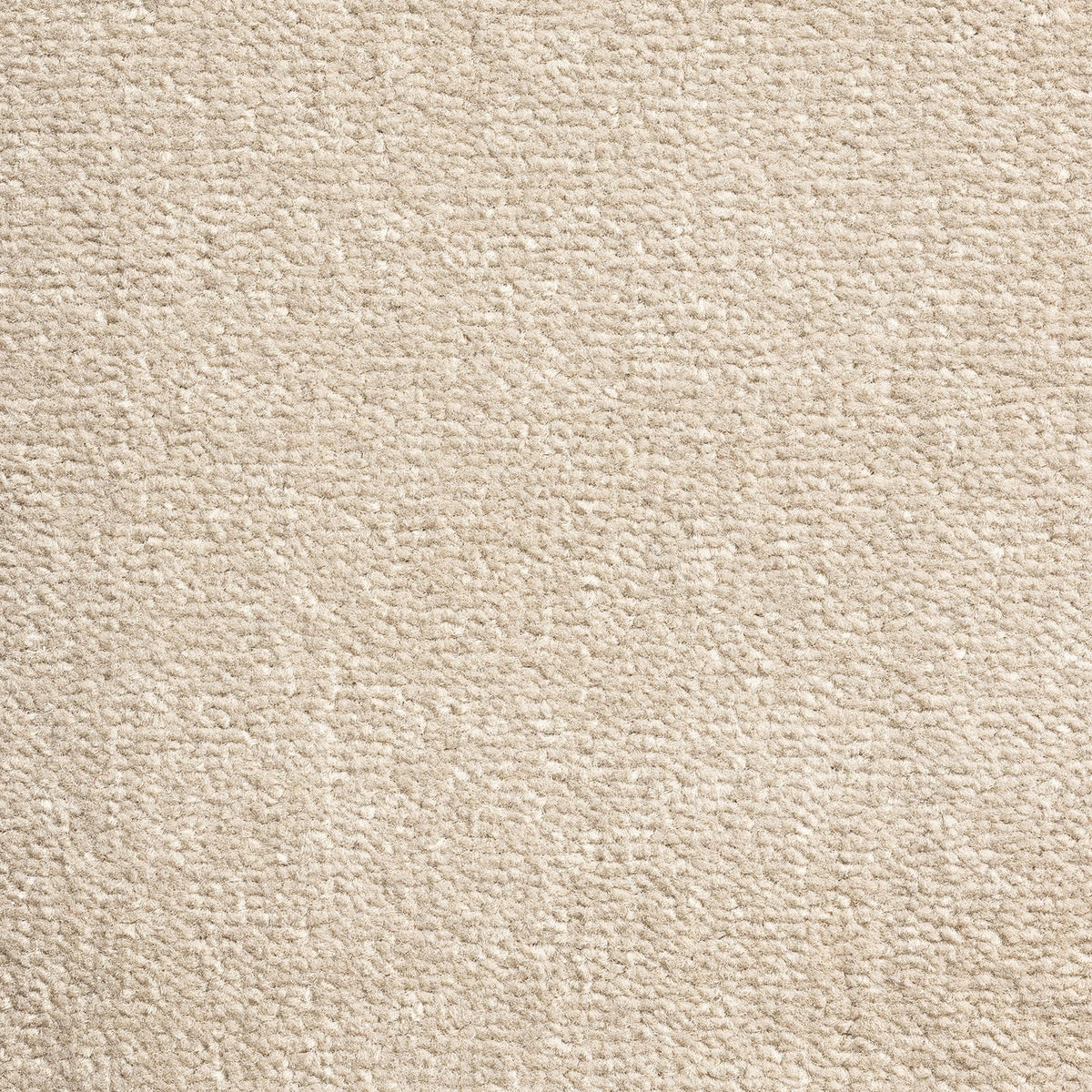 Windsor Velvet Trout 72 Carpet
