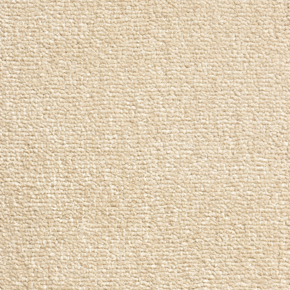 Windsor Velvet Abalone 90 Carpet