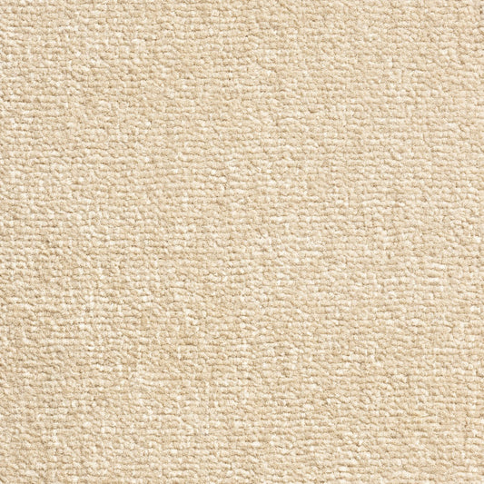 Windsor Velvet Abalone 90 Carpet