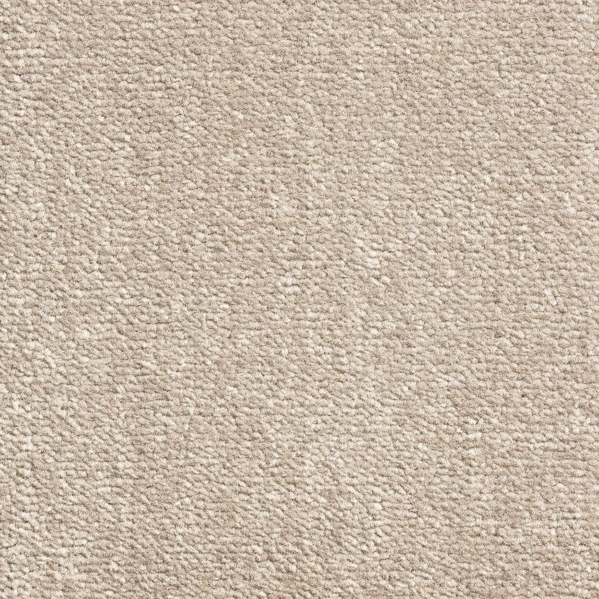 Windsor Velvet Ash 93 Carpet