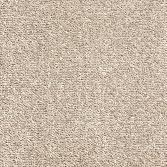Windsor Velvet Ash 93 Carpet