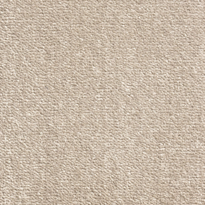 Windsor Velvet Ash 93 Carpet