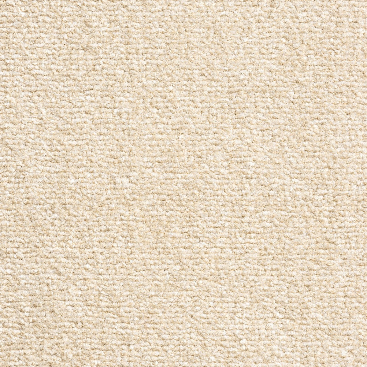 Windsor Velvet Oyster 171 Carpet