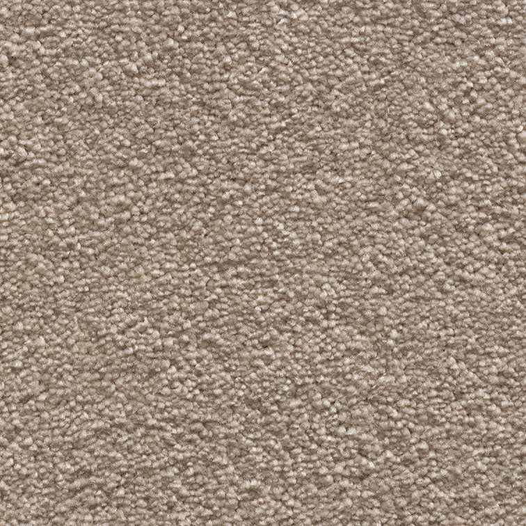 Tender Touch Classic 174 Carpet