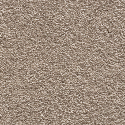 Tender Touch Classic 174 Carpet