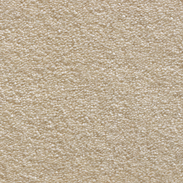 Tender Touch Classic 72 Carpet