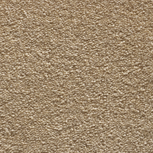 Tender Touch Classic 172 Carpet