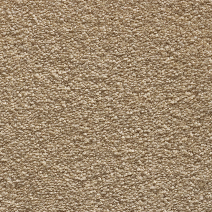Tender Touch Classic 172 Carpet