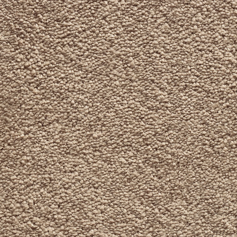 Tender Touch Classic 173 Carpet