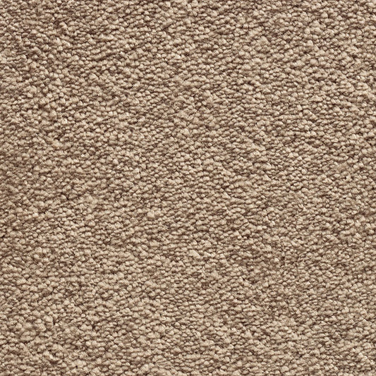 Tender Touch Classic 173 Carpet